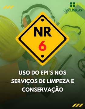 NR 06
